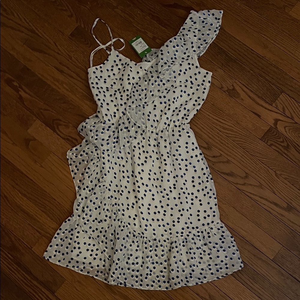 Lilly Pulitzer White and Navy One Shoulder Ruffle Dress